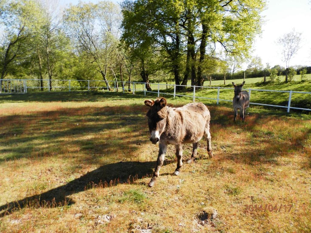 Domaine De Varenne Saint-Amand-en-Puisaye Exterior foto